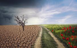 Photo depicting climate change for the better