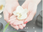 Picture of hands cupping a white flower