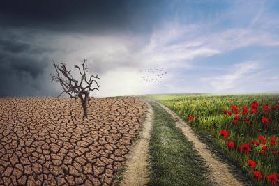 Photo depicting climate change for the better
