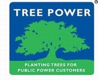 Tree Power Green Logo